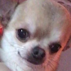 Meet your Posher, Isabelle